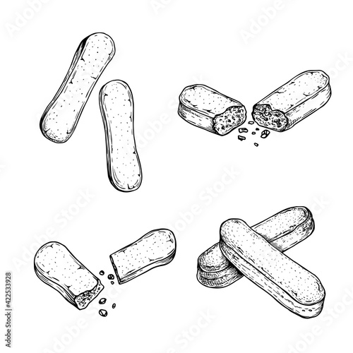 Savoiardi buscuit in sketch style set. Hand drawn Italian dessert tiramisu ingredient collection. Traditional Italian sweets. Vector illustrations.