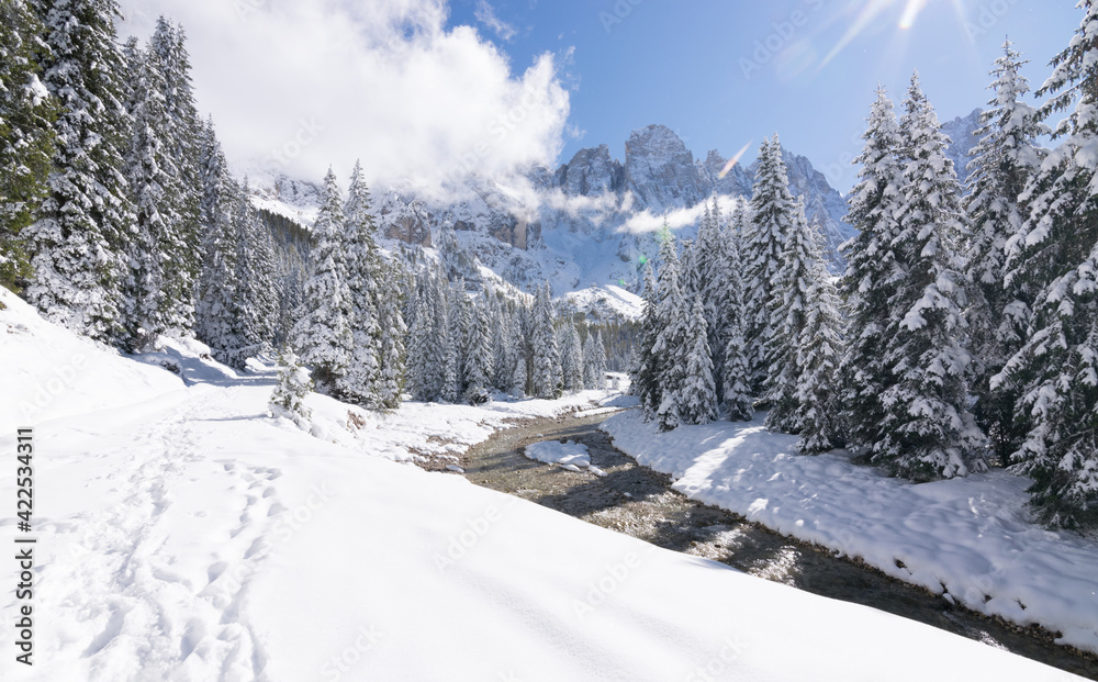 Fototapeta premium Val Venegia autunno sotto la neve, paesaggio innevato delle Pale di San Martino. Dolomiti innevate