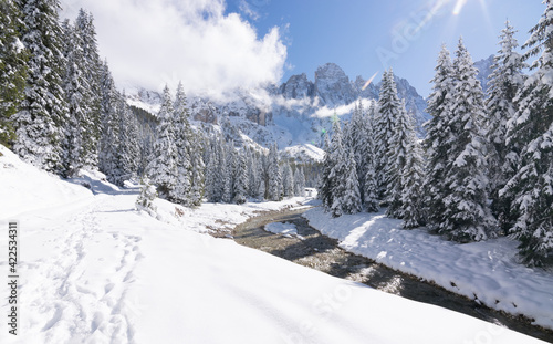 Val Venegia autunno sotto la neve, paesaggio innevato delle Pale di San Martino. Dolomiti innevate photo
