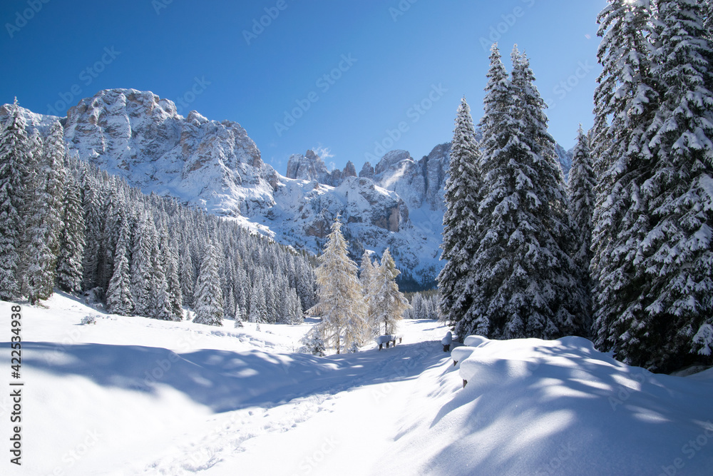 Val Venegia autunno sotto la neve, paesaggio innevato delle Pale di San Martino. Dolomiti innevate
