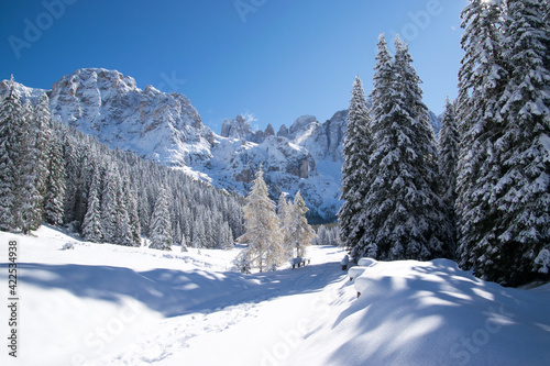 Val Venegia autunno sotto la neve, paesaggio innevato delle Pale di San Martino. Dolomiti innevate © Davide
