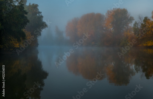 Autumn fog on the river. Poplar grove in the fog. © Фёдор Лашков