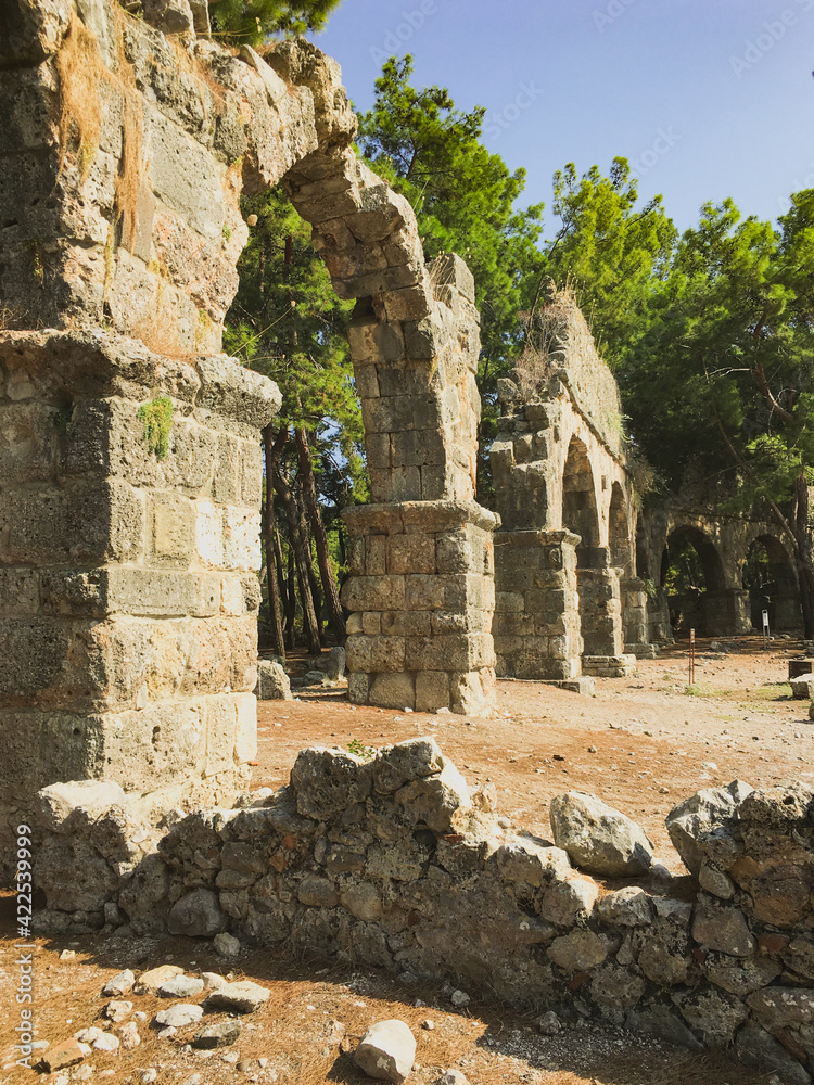 ruins of ancient, ruins, build, ruins in forest ruins of ancient, ruins, build, ruins in forest