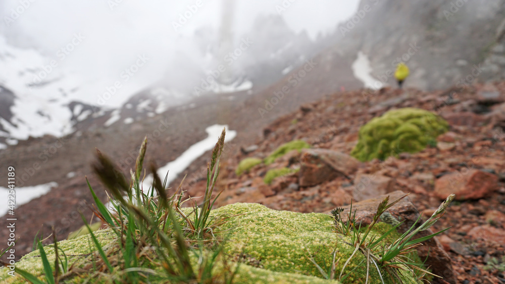Huge clouds in snowy mountains and green moss. Moss and green grass grow on the rocks. In the fog are climbers. Large rocks and stones. Outdoor activity. Extreme Hiking among clouds and snow peaks.