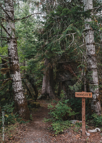 A wooden Newhalem sign pointing towards the Trail of the Cedars in the forests outside of Newhalem in North Cascades National Park, Washington state, USA.  photo