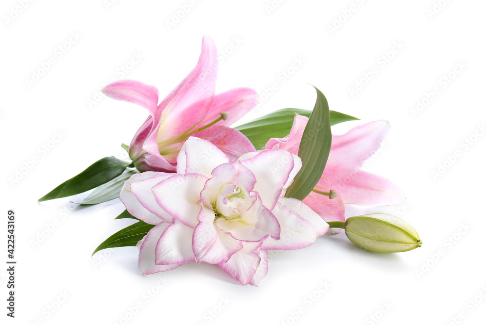 Beautiful lilies on white background