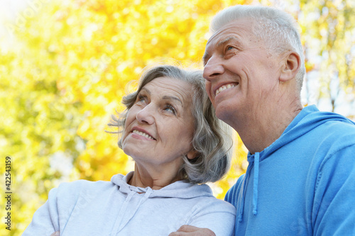 portrait of beautiful senior couple in the park