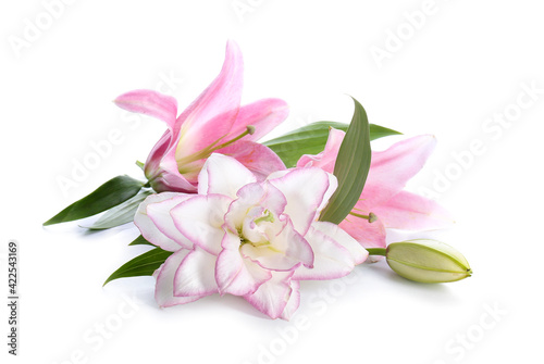 Beautiful lilies on white background