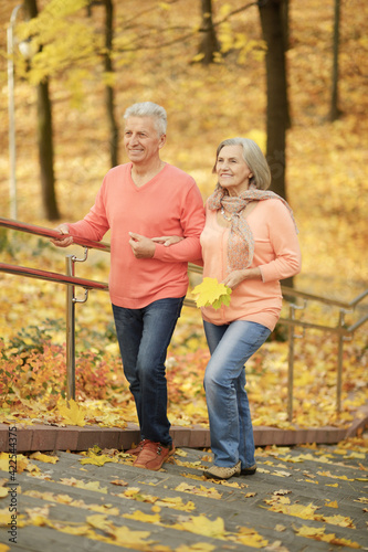 smiling senior couple in autumn park