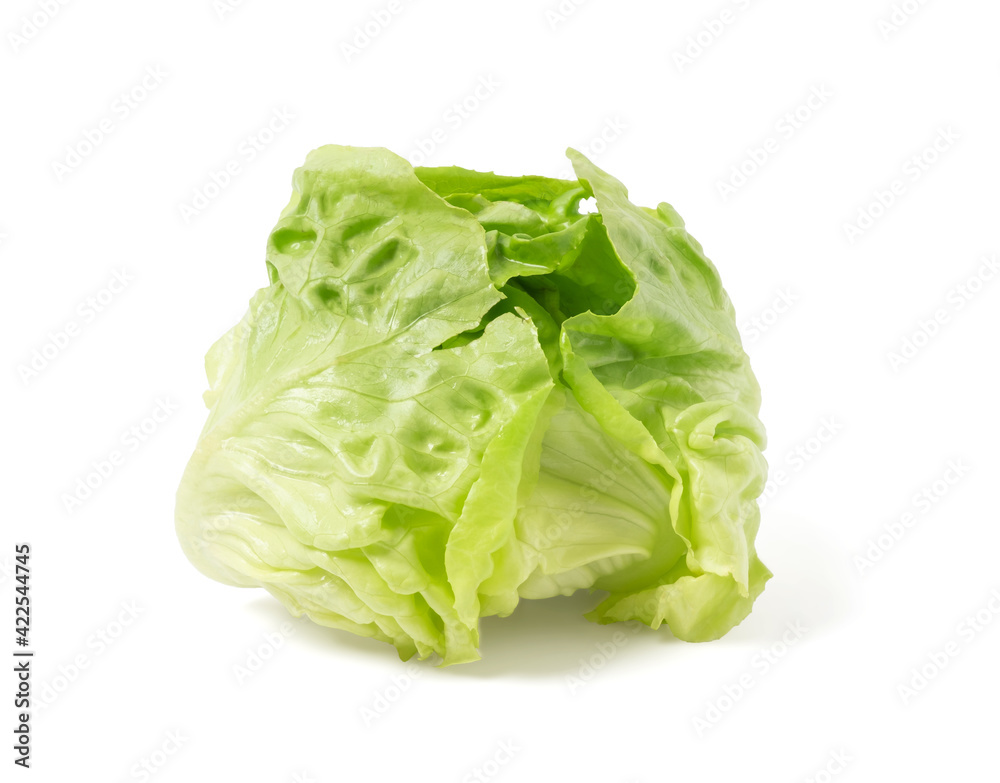 Butter head lettuce vegetable for salad isolated on white background, clipping path Butter head lettuce vegetable for salad isolated on white background, clipping path