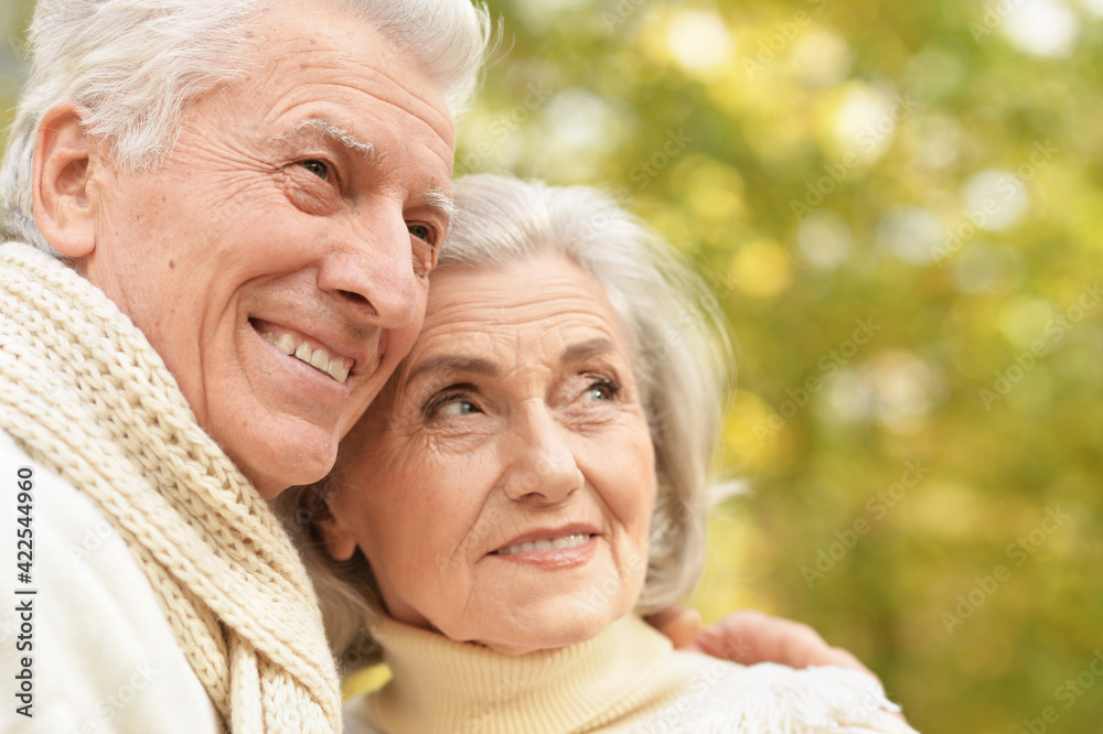 smiling senior couple posing in the park smiling senior couple posing in the park