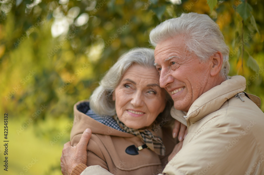 beautiful senior couple hugging in the park beautiful senior couple hugging in the park