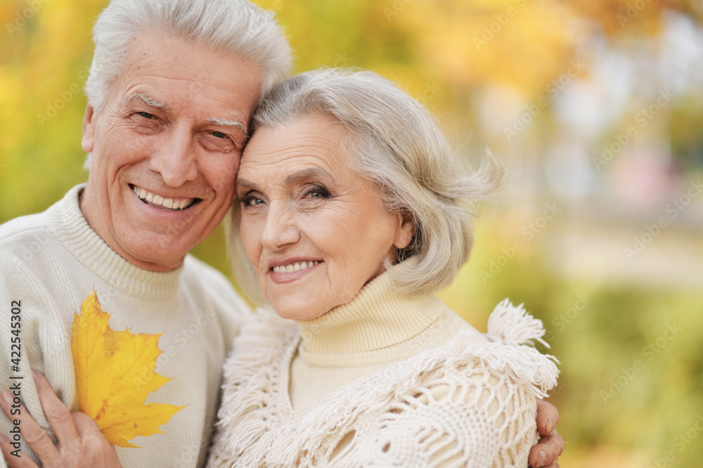 portrait of beautiful senior couple embracing in the park portrait of beautiful senior couple embracing in the park