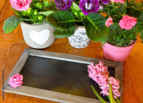 leere Tafel für einen Spruck mit Frühlingsblumen photo