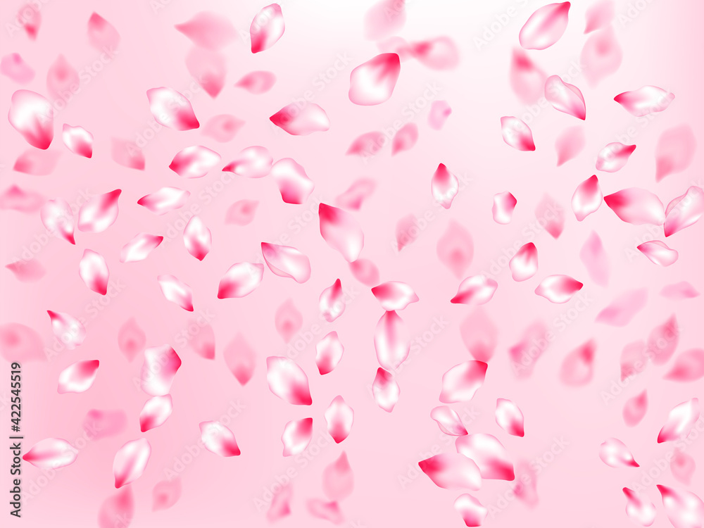 Spring tree flowers parts, airy flying petals Spring tree flowers parts, airy flying petals