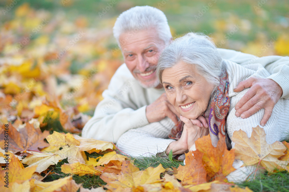 Happy senior couple lying in park Happy senior couple lying in park