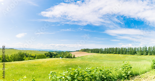 晴れた日の美瑛の丘と青空 北海道美瑛町の観光イメージ © tkyszk