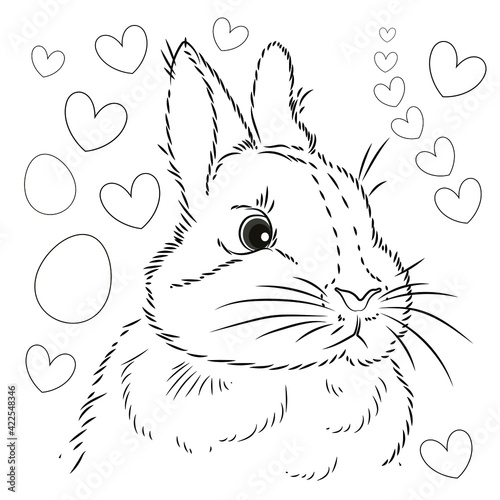 Easter. Linear rabbit image. Vector image, isolated. Coloring for children.