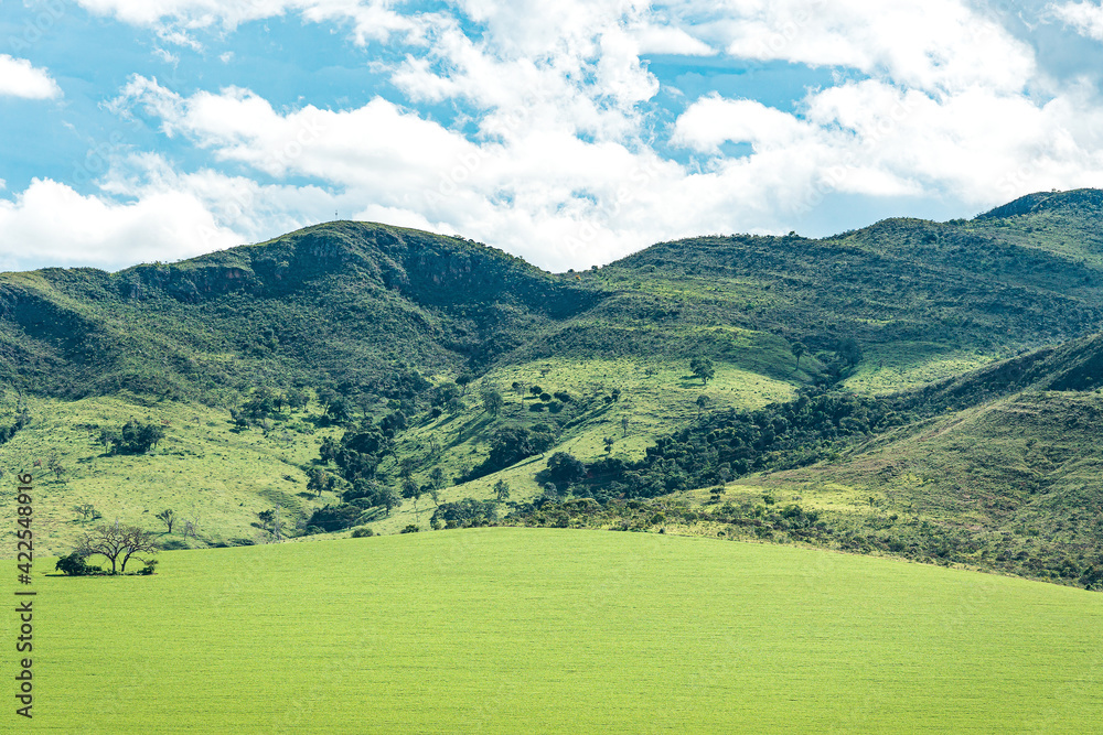 Beautiful landscape of a farm field near the hills, green field on a blue sky day. Landscape of the Canastra Sierra region at São Roque de Minas, MG, Brazil.
