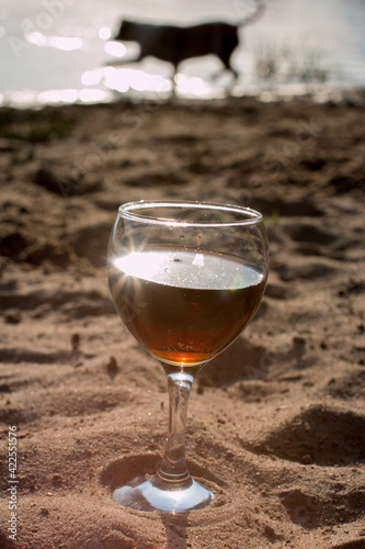 a glass of wine at sunset. Summer nature