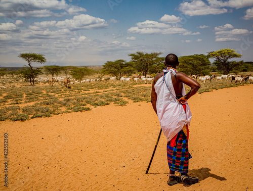 Unidentified Samburu man watches over his flock of goats photo