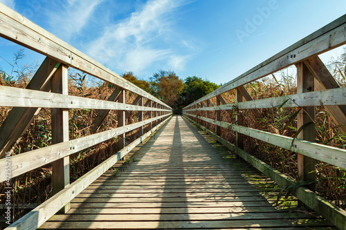 Boardwalk surrounded by grasses on a bright day. Leading lines walk you to the end.