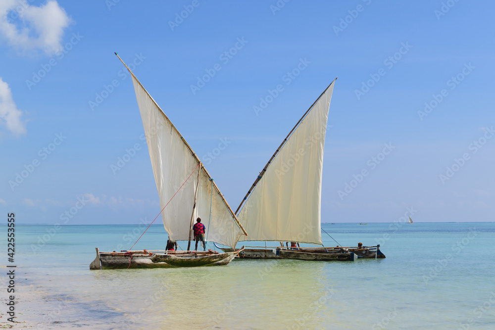 Obraz premium fishing outrigger dhow moored alomg the beach