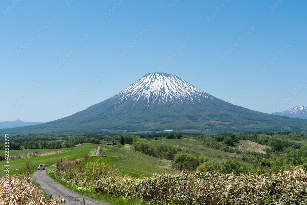 ドローン空撮  初夏の晴れた日の羊蹄山と田舎道  北海道ニセコエリアの観光イメージ