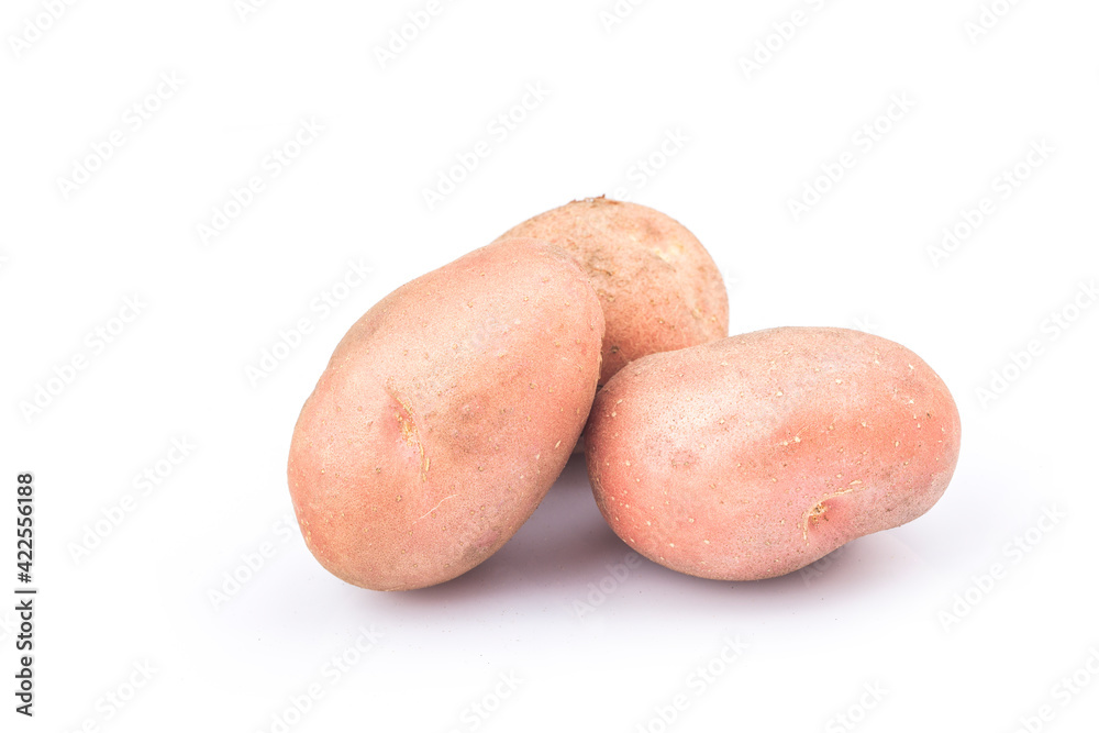 New red potato isolated on white background New red potato isolated on white background