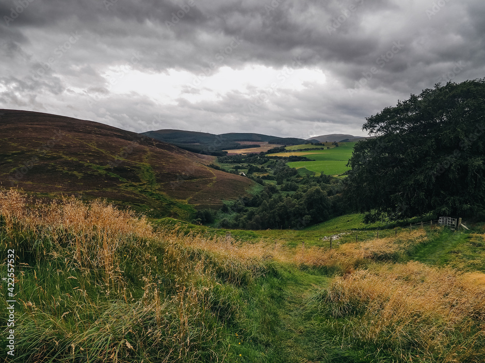 Rolling hills of scotland in various colors on a cloudy day
