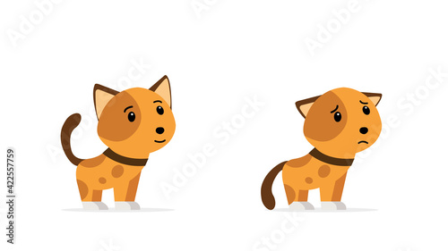 A small cat with a good and a bad mood. Pet. Vector illustration. Flat style