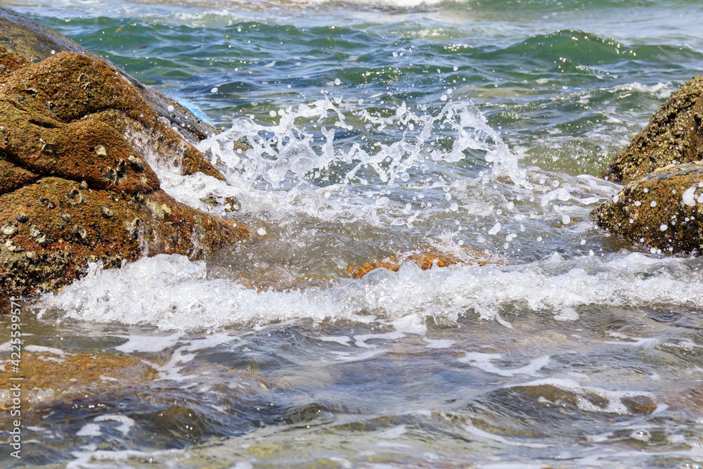 Fototapeta premium Sea wave with splash water on the rock stone on the beach.