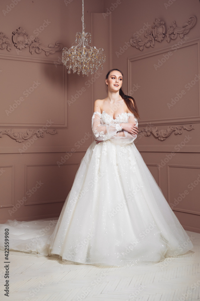 Beautiful bride portrait in wedding dress Beautiful bride portrait in wedding dress