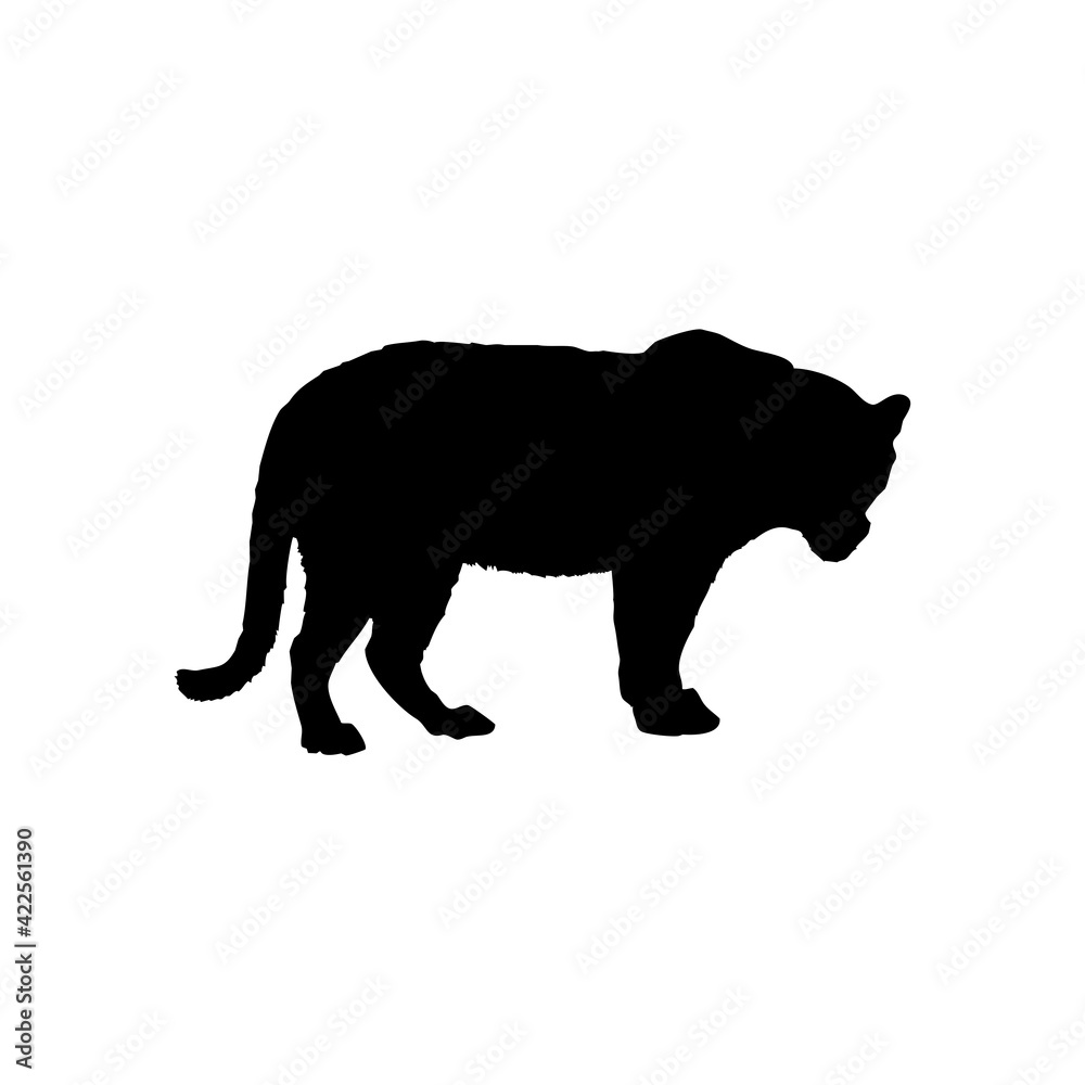 Fototapeta premium Symbol of a tiger on a white background
