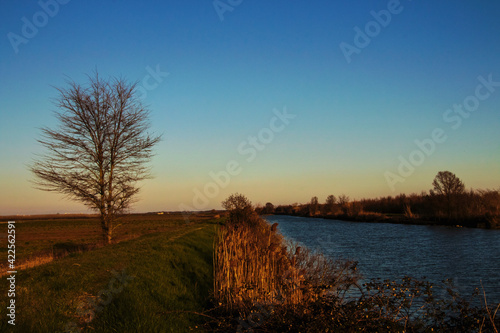 Tableau sur toile Paesaggio di campagna in inverno sulla laguna