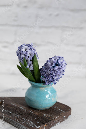 A bouquet of purple hyacinth in a blue clay vase, on a wooden background. White background