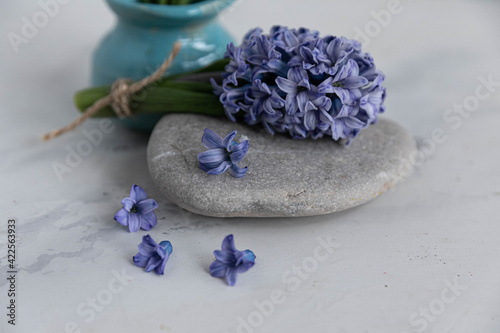 hyacinth and soap