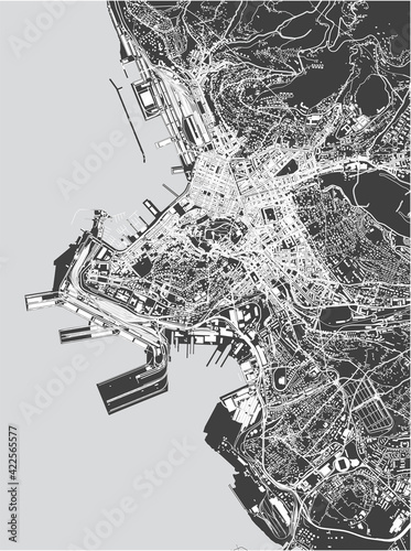 map of the city of Trieste, Italy