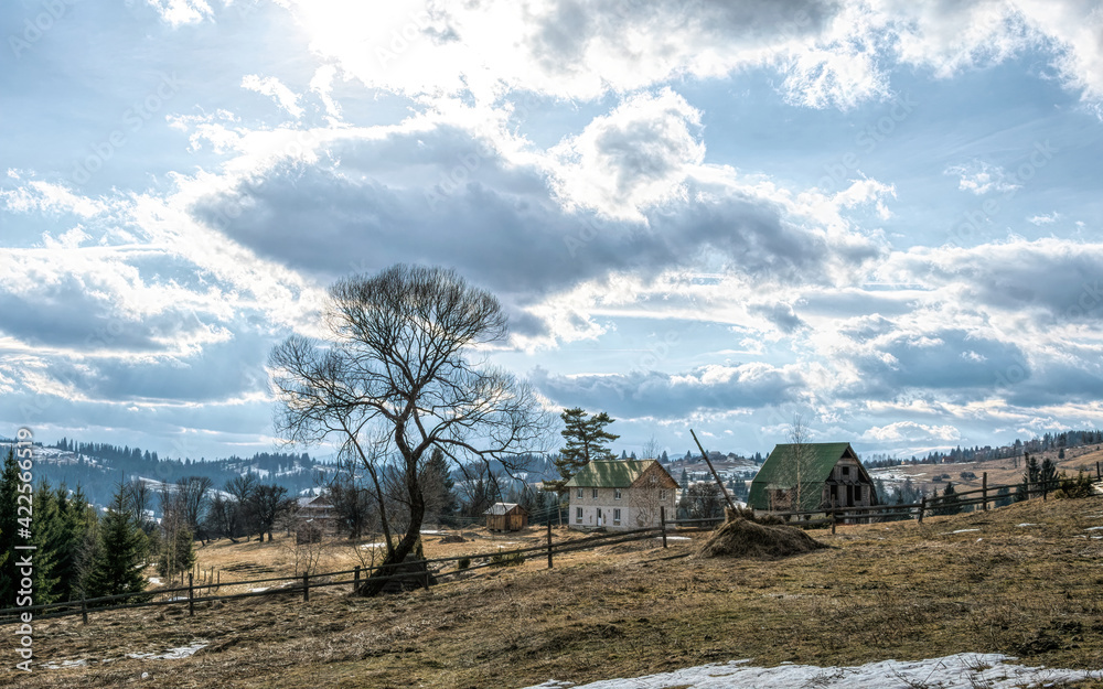 Fototapeta premium Beautiful rural landscape against the backdrop of the Carpathian Mountains in early spring