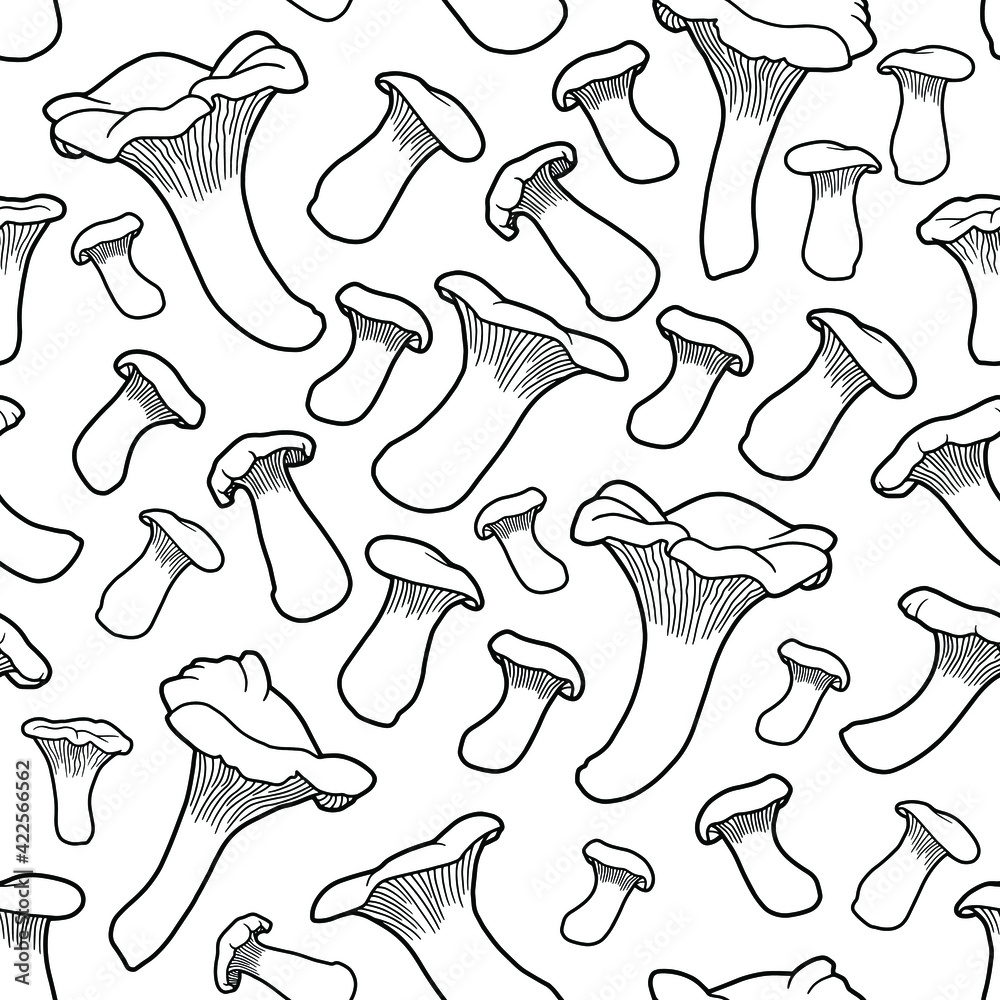 Fototapeta premium Seamless background. Hand drawing chanterelle mushrooms. Realistic illustration of forest mushrooms isolated on white. Coloring page. Black outline.