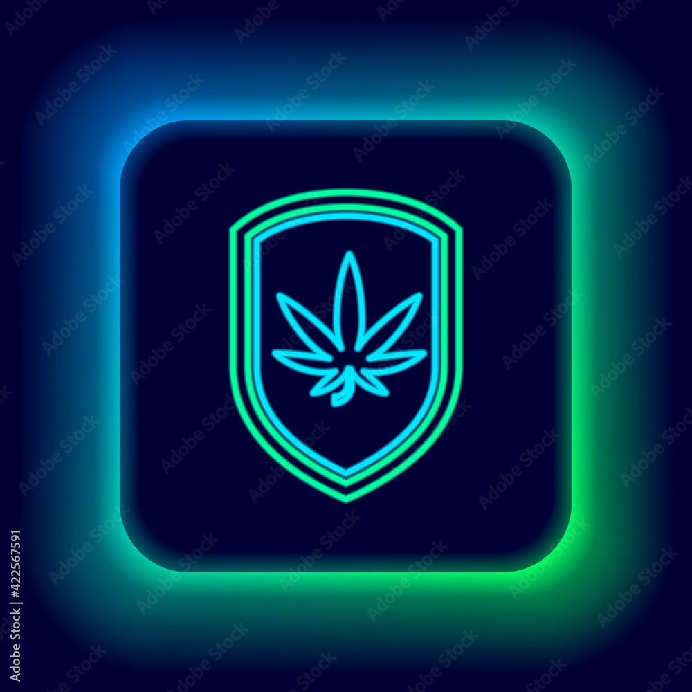 Glowing neon line Shield and marijuana or cannabis leaf icon isolated on black background. Marijuana legalization. Hemp symbol. Colorful outline concept. Vector Glowing neon line Shield and marijuana or cannabis leaf icon isolated on black background. Marijuana legalization. Hemp symbol. Colorful outline concept. Vector