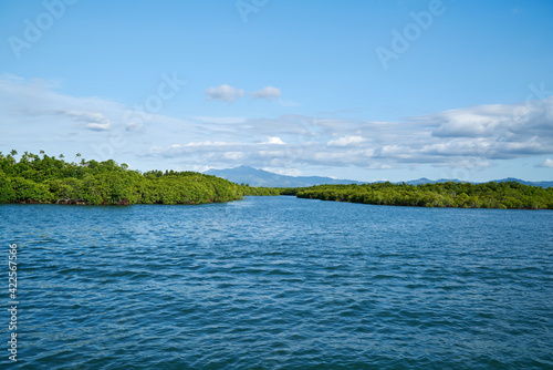 Obraz na płótnie Floating mangrove forest on the sea, Fiji.
w salonie