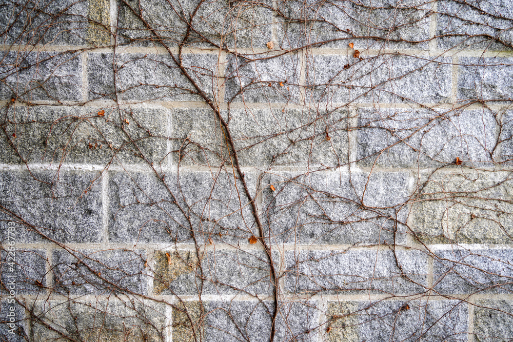 Wall made of natural stone built and grouted Wall made of natural stone built and grouted