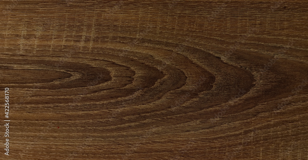 Obraz premium Beautiful wooden panels with a pattern that looks like tree rings