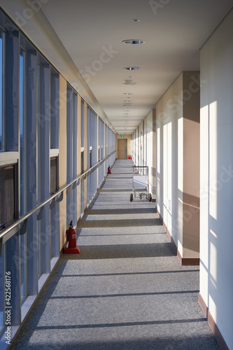 The sunlight coming through the window in the hallway. 