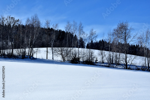 Schneelandschaft vor blauem Himmel