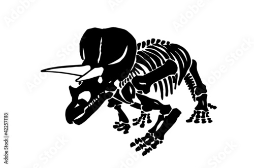 Graphical skeleton of triceratops on white background,vector paleonthology element photo