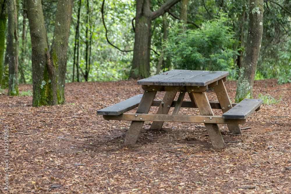 a rustic wooden table with benches in the middle of a forest in fall nature and picnic furniture a rustic wooden table with benches in the middle of a forest in fall nature and picnic furniture