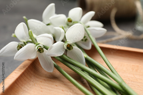 Fototapeta Naklejka Na Ścianę i Meble -  Beautiful snowdrops on wooden plate, closeup. Spring flowers