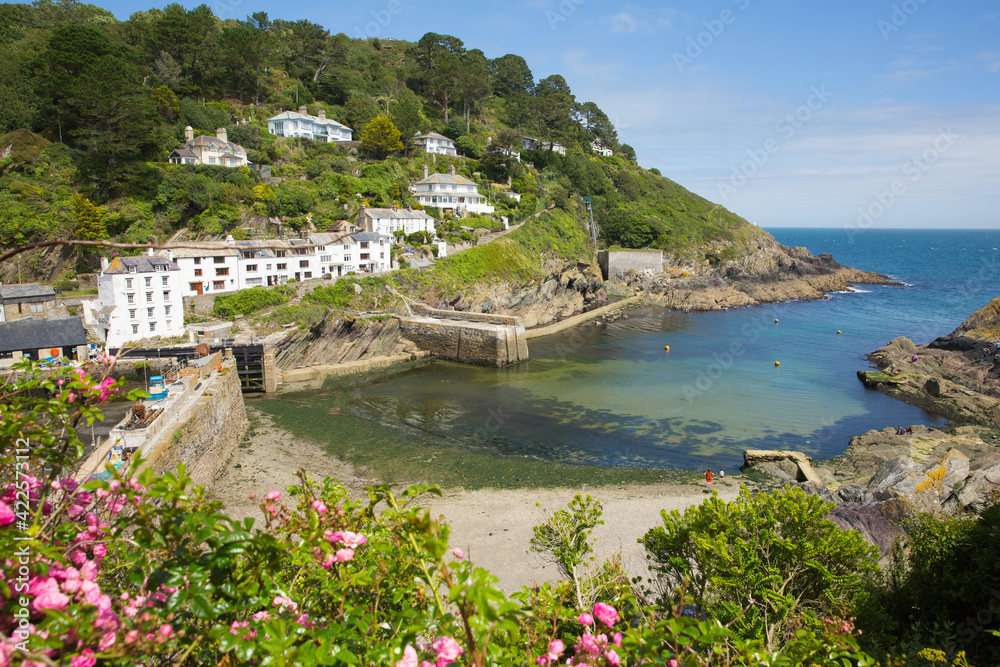 Entrance to Polperro harbour Cornwall UK with clear blue green sea and pink flowers